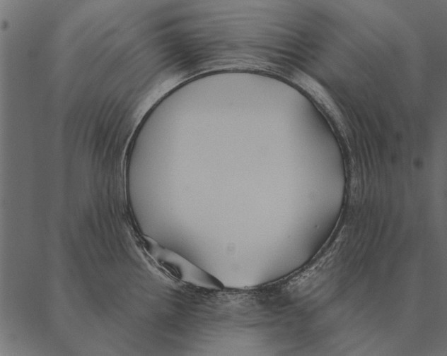 X0000087311242200705180938