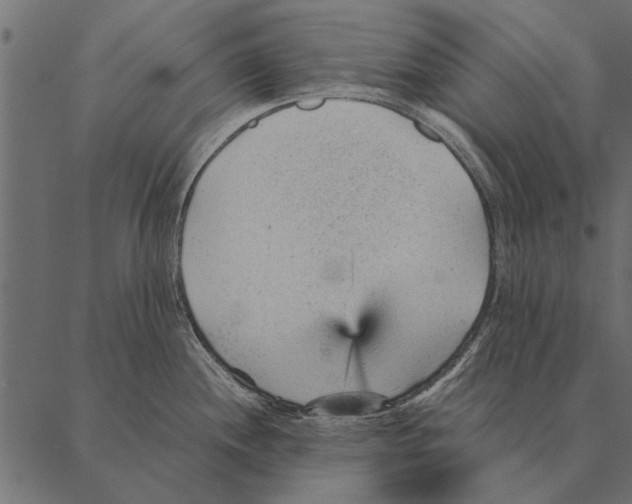 X0000087311244200705180938