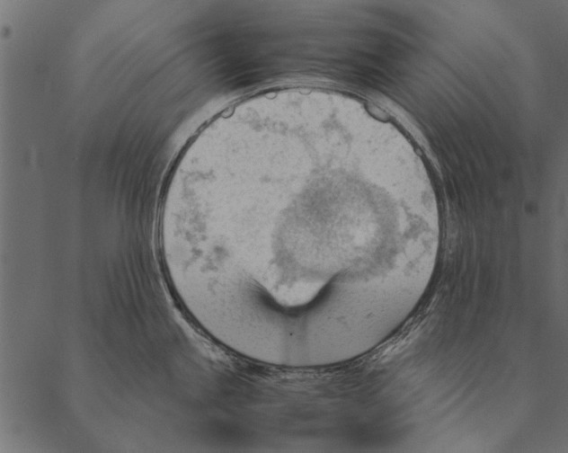 X0000087311245200705180938