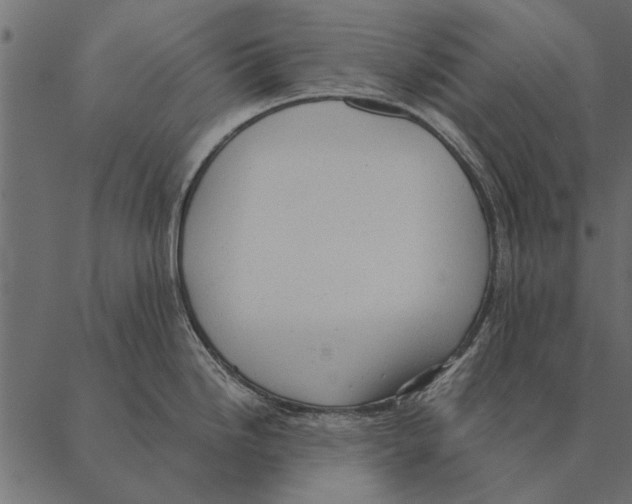 X0000087311246200705180938