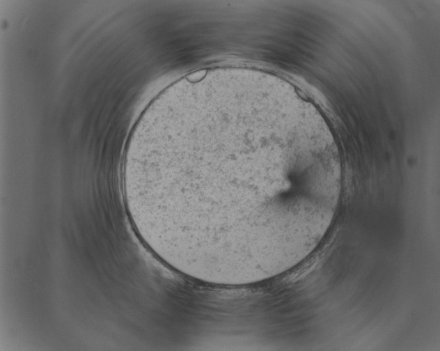 X0000087311247200705180938