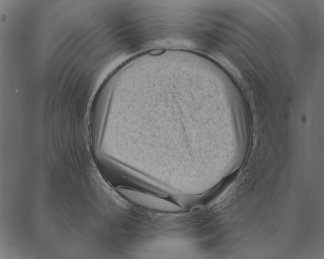 X0000087311248200705180938