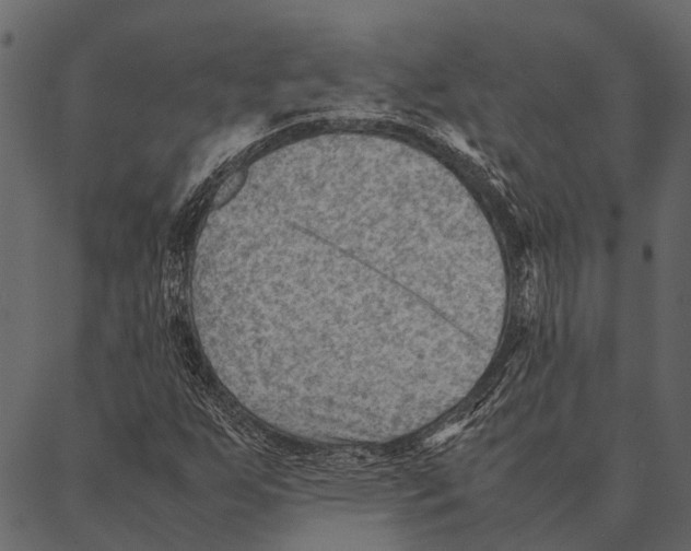 X0000087311255200705180937