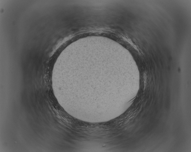 X0000087311256200705180937