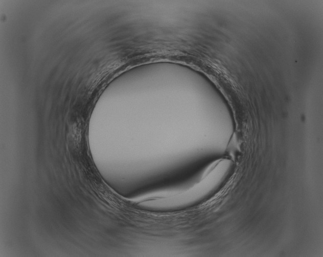 X0000087311257200705180937