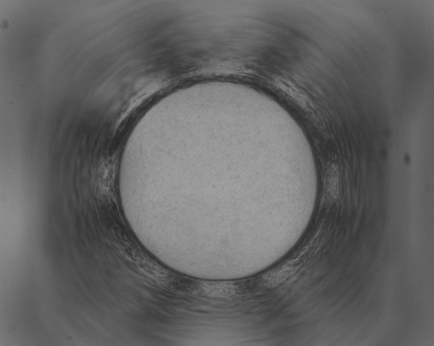 X0000087311258200705180937