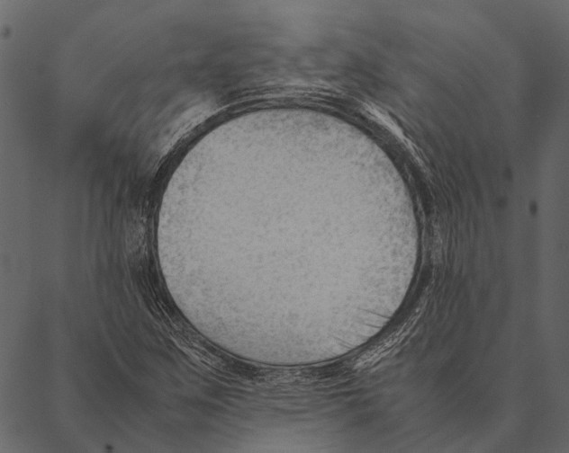 X0000087311259200705180937