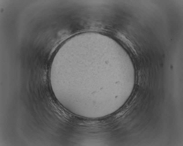 X0000087311260200705180937