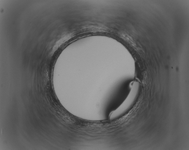 X0000087311261200705180937