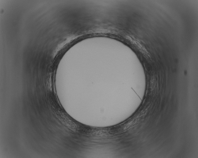 X0000087311262200705180937