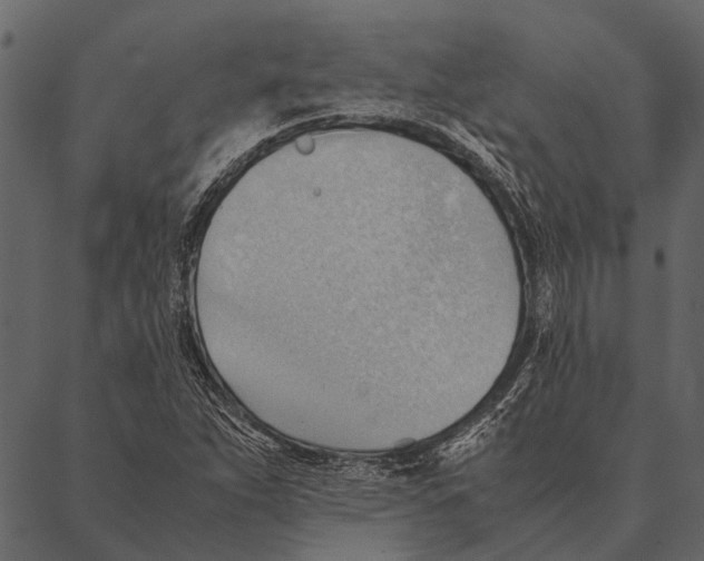 X0000087311263200705180937