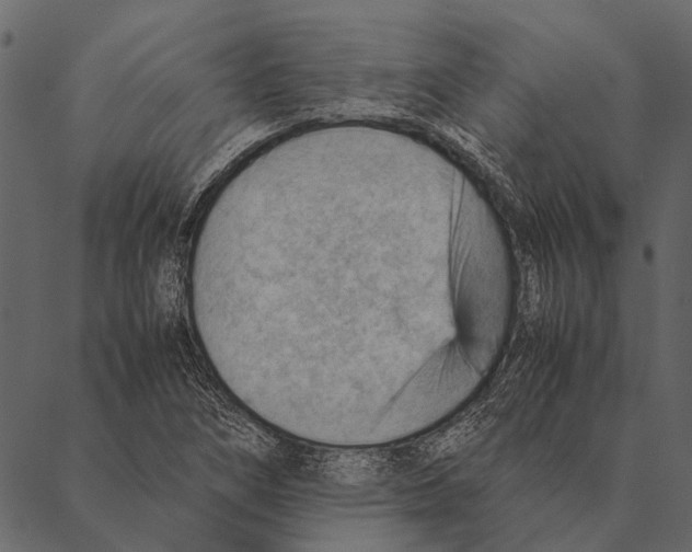 X0000087311266200705180937