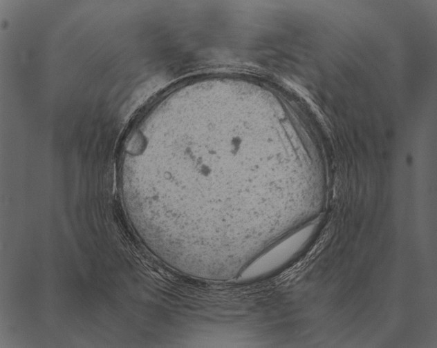 X0000087311267200705180937