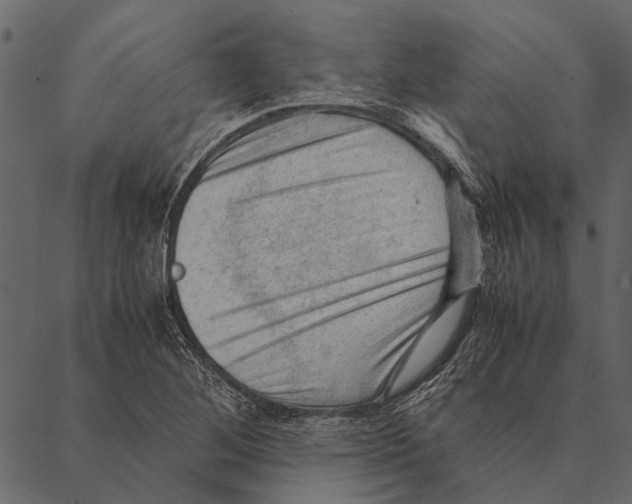 X0000087311268200705180937