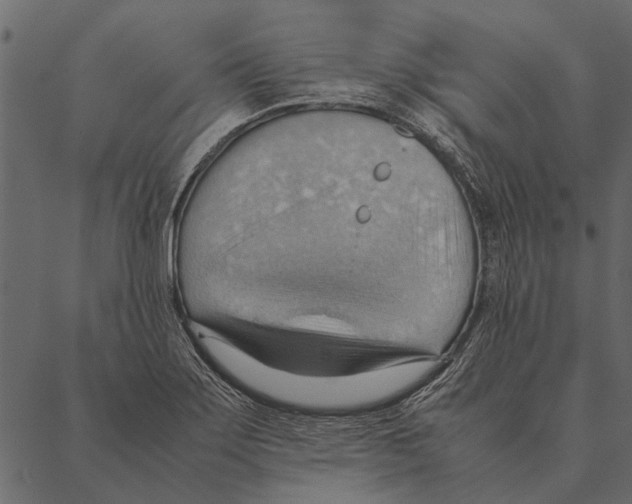 X0000087311275200705180937