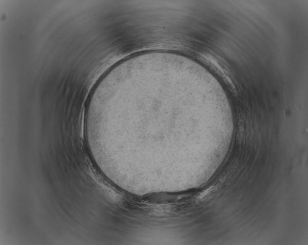 X0000087311276200705180937