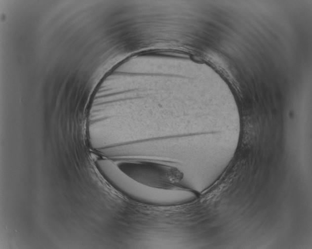 X0000087311284200705180937