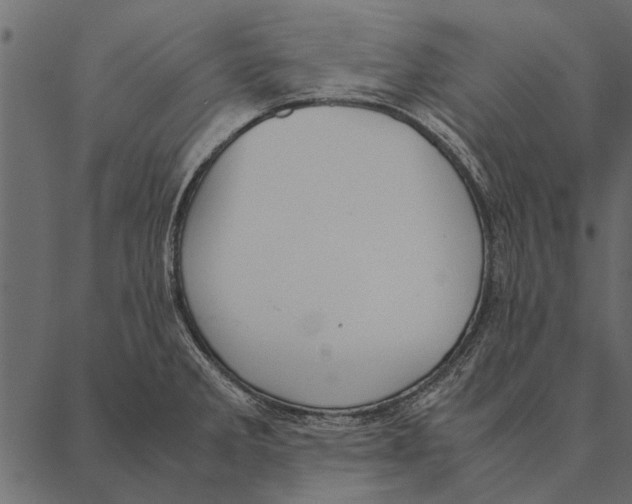 X0000087311285200705180936