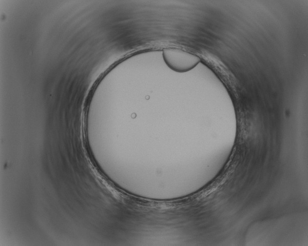 X0000087311286200705180936