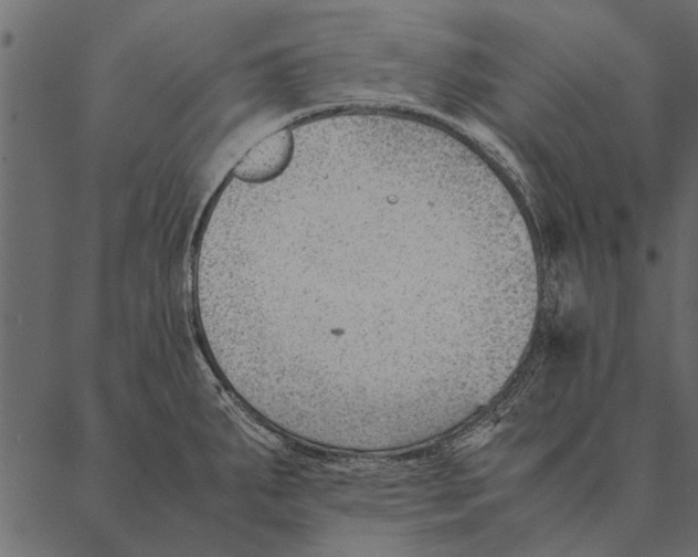 X0000087311287200705180936