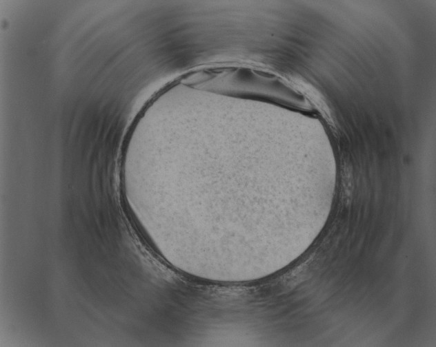 X0000087311288200705180936