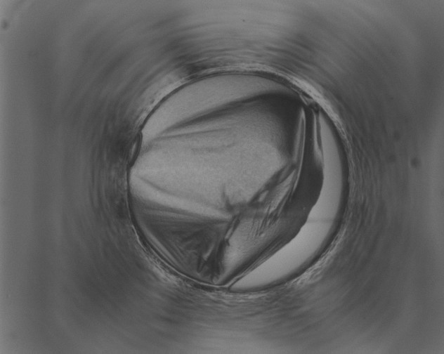 X0000087311289200705180936