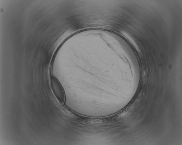 X0000087311291200705180936