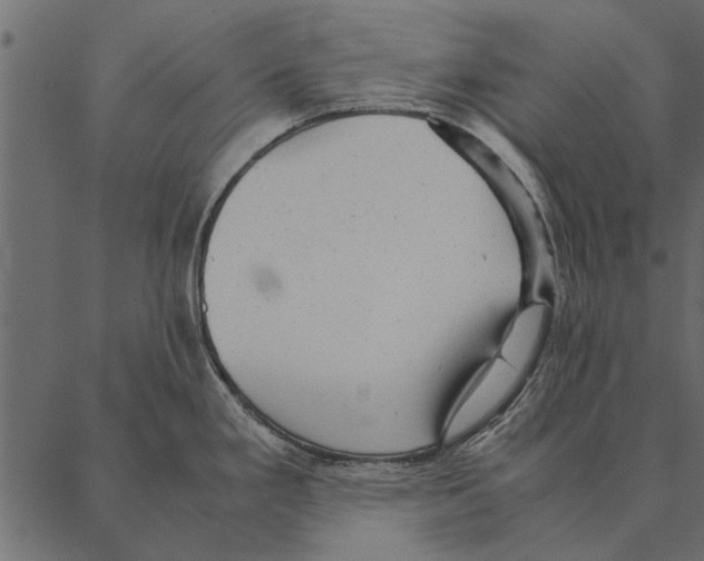 X0000087311293200705180936