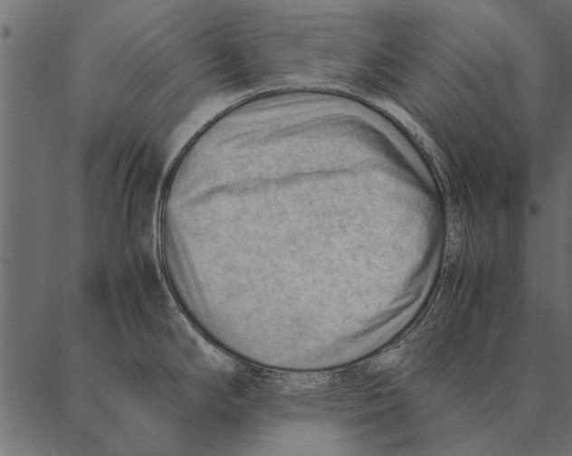 X0000087311294200705180936