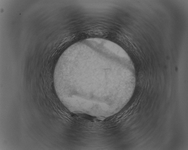 X0000087311297200705180936