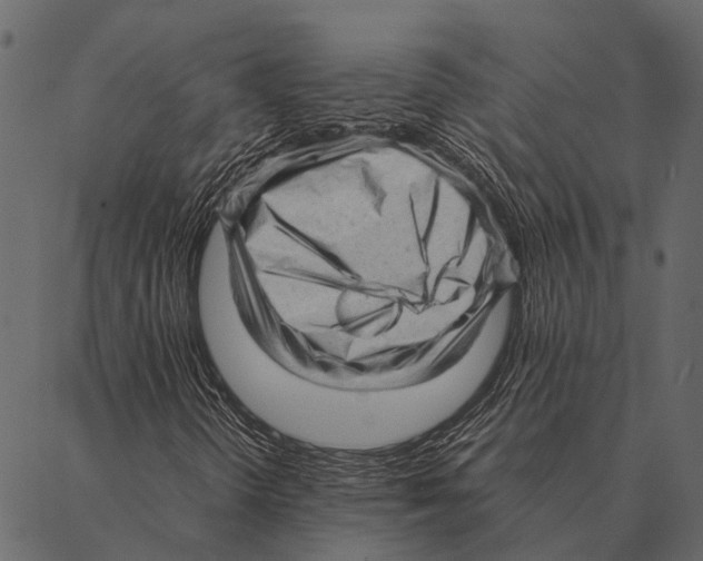 X0000087311298200705180936