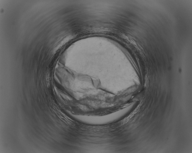 X0000087311306200705180936