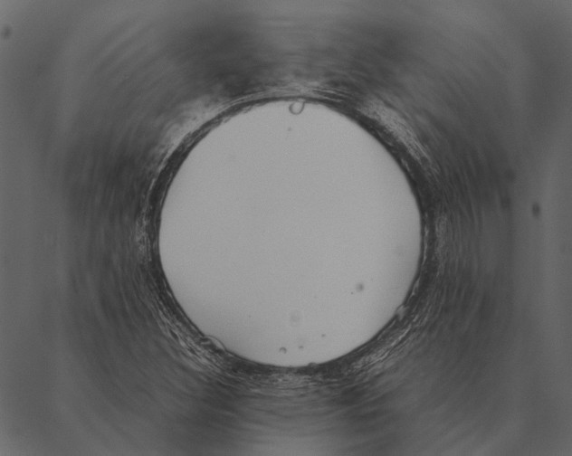 X0000087311308200705180936