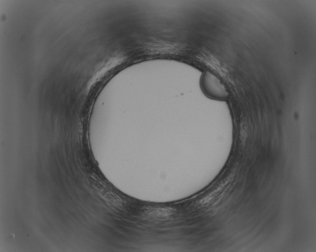 X0000087311309200705180936