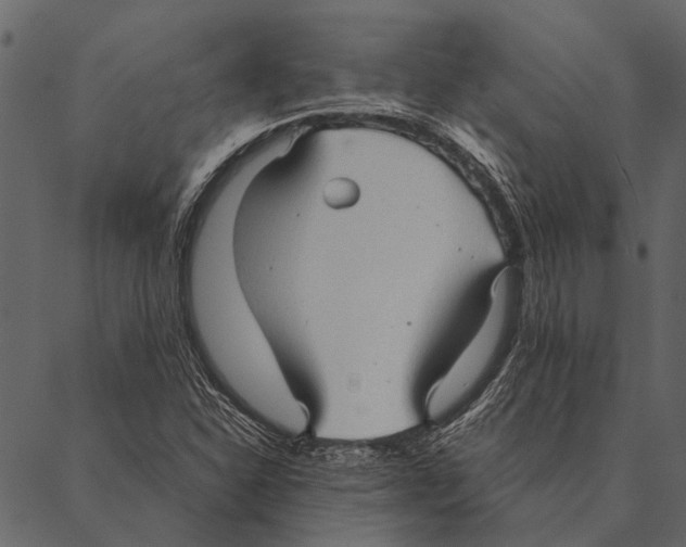 X0000087311310200705180936