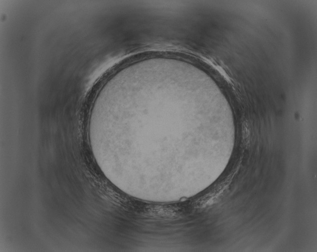 X0000087311311200705180936