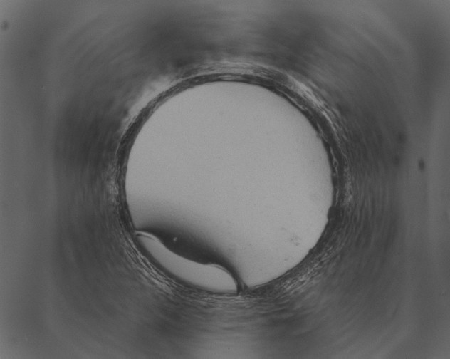 X0000087311312200705180936