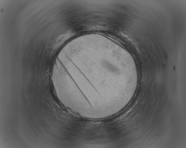 X0000087311313200705180936