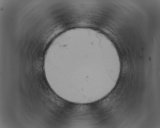 X0000087311314200705180936