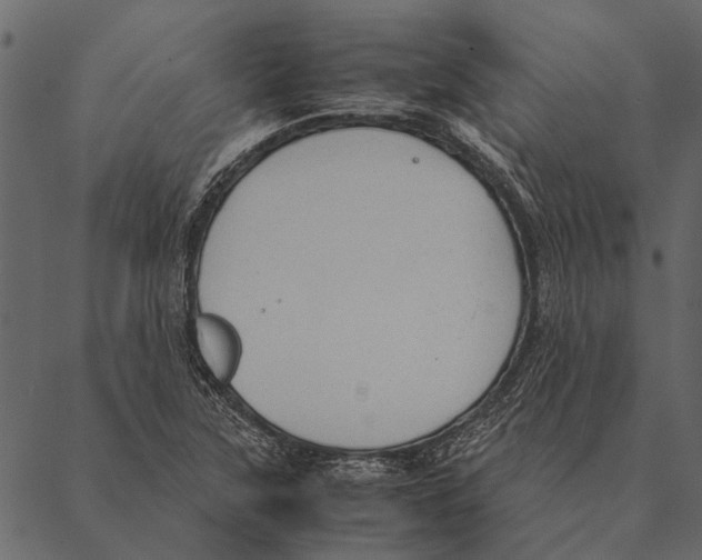 X0000087311315200705180936