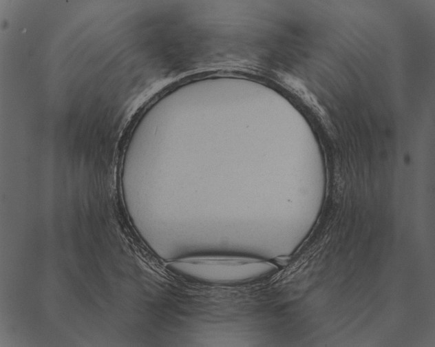 X0000087311316200705180936