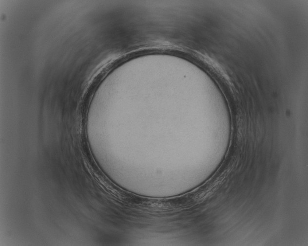 X0000087311318200705180936