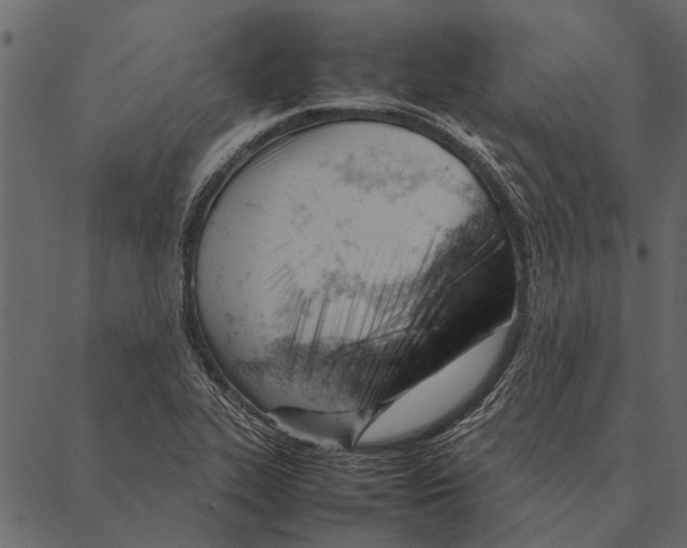 X0000087311319200705180936