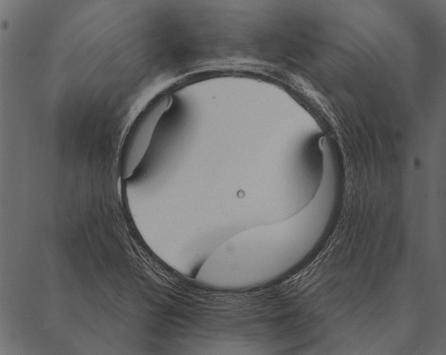 X0000087311320200705180936