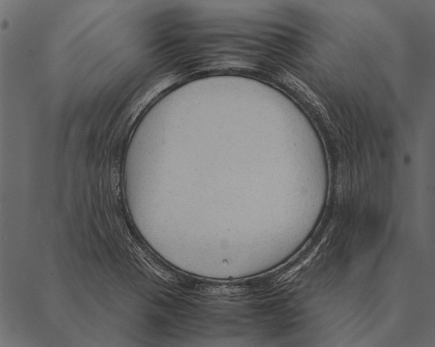 X0000087311321200705180936