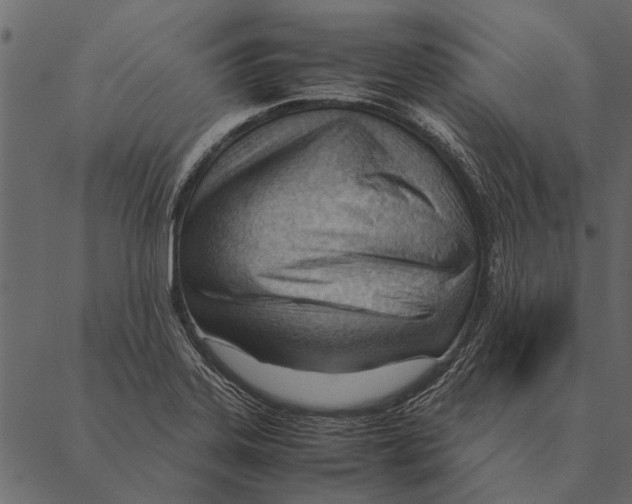 X0000087311323200705180936