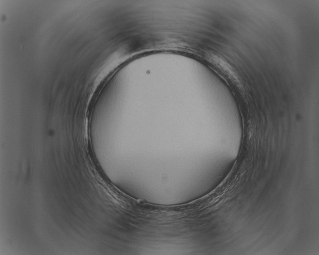 X0000087311324200705180936