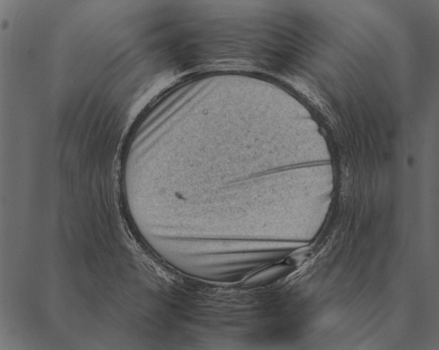 X0000087311325200705180936