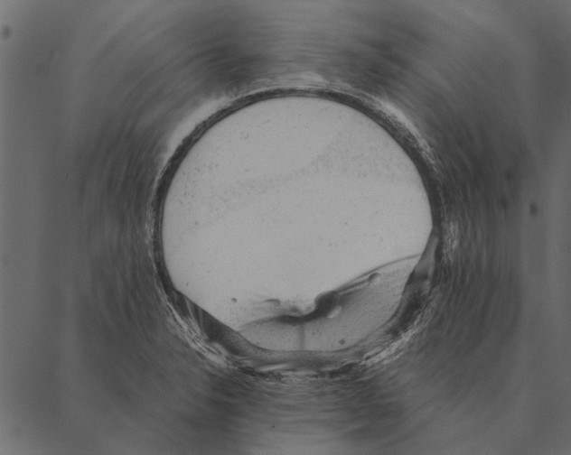 X0000087311326200705180936