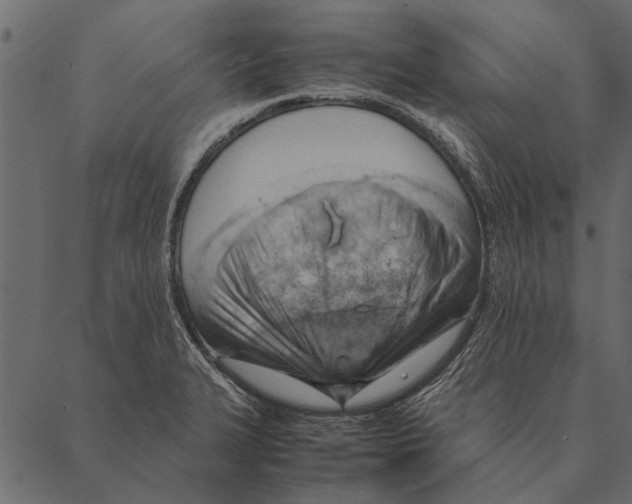 X0000087311327200705180936